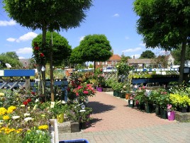 Garden Centres in Tonbridge