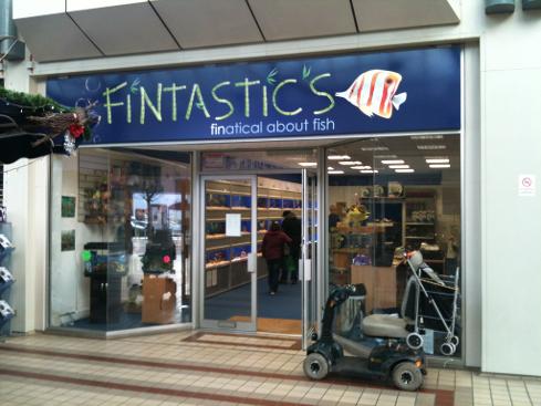 Fintastic in Tonbridge