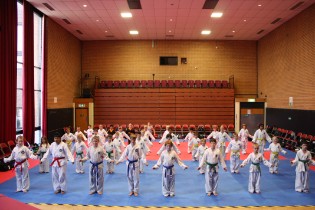 Synergy Taekwon-Do Tonbridge