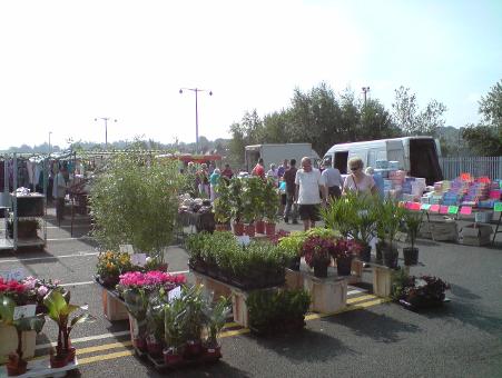 Plant stall at Tonbridge Market