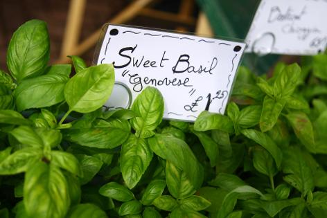 Tonbridge Farmers Market